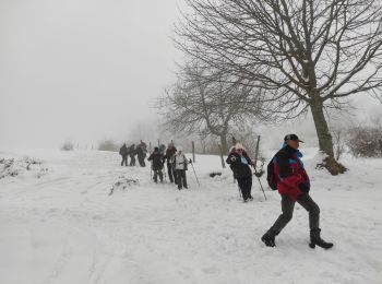 Percorso Marcia Rimbach-près-Guebwiller - Rimbach Guebwiller  - Photo