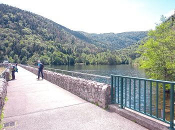 Percorso Marcia Oberbruck - Oberbrück - Baerenbach (18/6/2020) - Photo