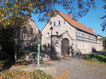 Randonnée A pied Crossen an der Elster - Mühlberg - Photo