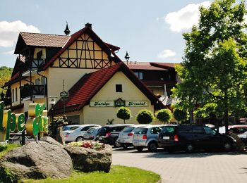 Randonnée A pied Lautertal - Rundwanderweg Lautertal Kuralpe 8: Panorama-Weg - Photo