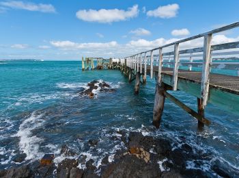 Randonnée A pied Waiheke - Rangitoto Coastal Walk - Photo