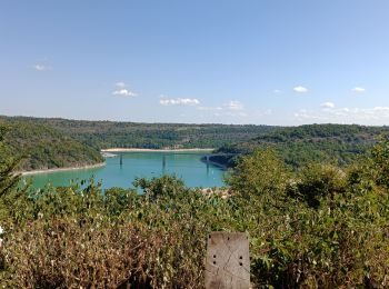 Excursión Bici de montaña La Tour-du-Meix - Jura - Lac de Vouglans - VTT - Photo