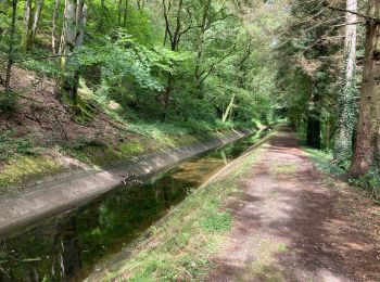 Trail Walking Saint-Nabord - ST Nabord - Noirgueux - Moselle - Photo