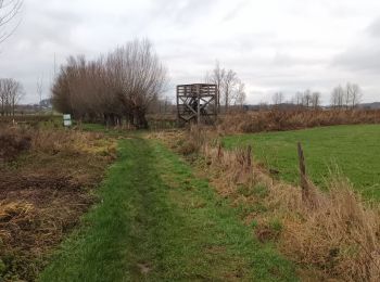 Percorso Marcia Glabbeek - Bunsbeek - Photo