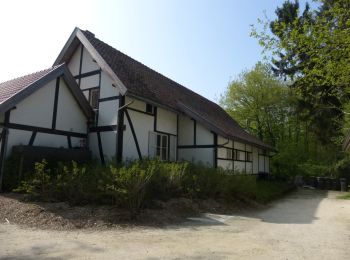 Randonnée A pied Saint-Trond - Nieuwenhoven Oranje bol - Photo