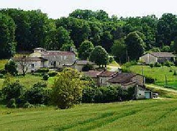 Trail Nordic walking Brantôme en Périgord - Puy de Fourches MN - Photo