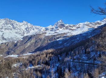 Tour Schneeschuhwandern Valtournenche - Pointe de Falinier depuis Cheneil - Photo