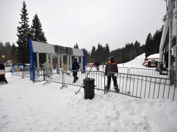 Percorso A piedi Špindlerův Mlýn - [M] Medvědín okruh - Photo