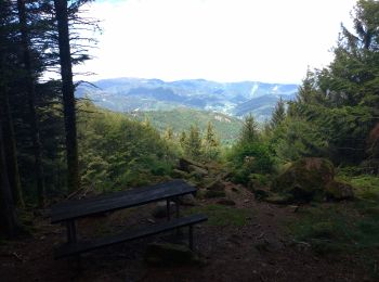 Trail Mountain bike Kirchberg - test - Photo