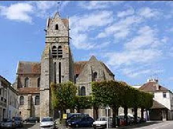 Randonnée Marche Chaumes-en-Brie - JC 02 Chaumes en Brie - Photo