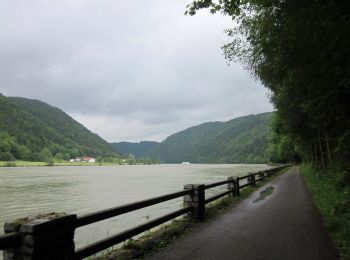 Percorso A piedi Hofkirchen im Mühlkreis - Naturlehrpfad Donauschlinge - Photo