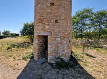 Excursión Senderismo Talmont-Saint-Hilaire - Autour de Port Bourgenay - Photo