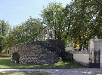 Tour Zu Fuß Gemeinde Markt Sankt Martin - Markt St. Martin - Steinernes Stückel - Photo