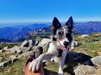 Randonnée Marche Rosazia - Monte Cervellu - Photo