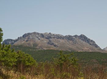 Excursión A pie Bitzi/Bitti - (SI Z09) Caserma Forestale “Gianni Stuppa” - Vecchia Cantoniera di Sant’Anna - Photo