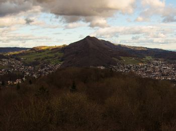 Trail On foot Gebenstorf - Baden Running Walking Trail Long - Photo