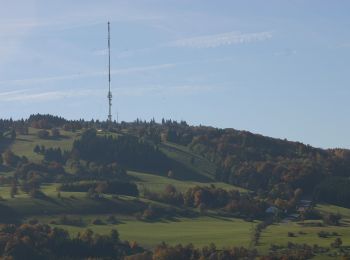 Randonnée A pied Bischofsheim i.d.Rhön - Osterburg - Gemündener Hütte und Kreuzberg - Photo