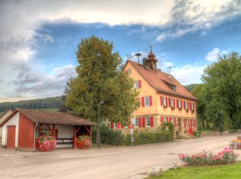 Tocht Te voet Bretzfeld - Siebeneich Rundweg 2 - Photo