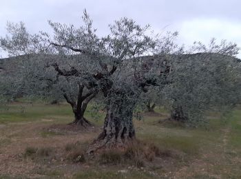 Randonnée Marche Les Mées - LES MEES .Chapelle St Pierre , la Bressanne , la Bessonne o l s - Photo