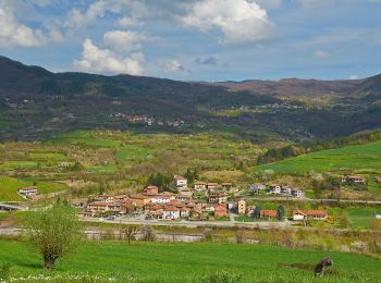 Tour Zu Fuß Santa Margherita di Staffora - IT-14 - Photo