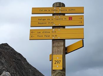 Randonnée Marche Allos - Lac d'Allos petite cayolle - Photo