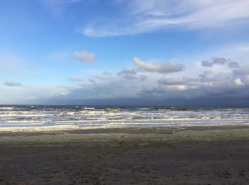 Tour Zu Fuß Noordwijk - Langeveldwandeling - Photo
