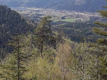 Tour Wandern Celles-sur-Plaine - circuit du col coquin  - Photo