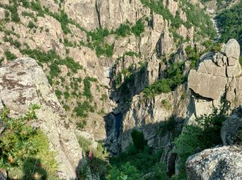 Tour Wandern La Bastide-Puylaurent - Randonnée de la Bastide Puylaurens à la Garde Guérin - Photo