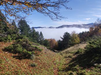Randonnée Marche Prades - Prades col de la Gardie - Photo