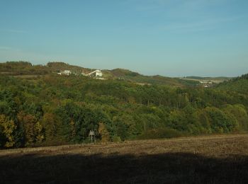 Randonnée A pied Mořina - [Ž] Mořina - Dub sedmi bratří - Photo