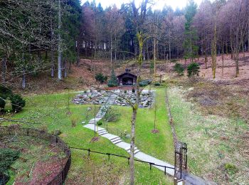 Randonnée A pied Drolshagen - Drolshagen Rundweg (d) - Photo