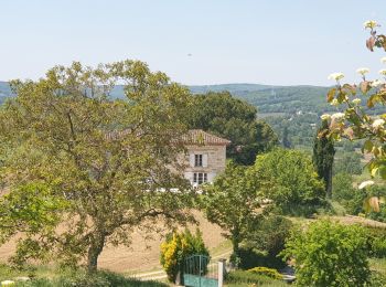 Randonnée Marche Castelnau-de-Montmiral - Autour de Castelnau de Montmiral - Photo