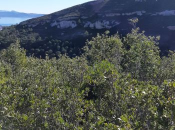 Trail Walking La Ciotat - la ciotat le pont naturek - Photo