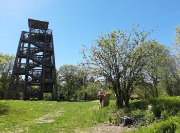 Tocht Stappen Deux-Grosnes - Monsols - Mont Saint Rigaud - Photo