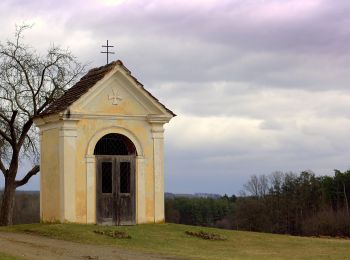 Percorso A piedi Greinbach - Penzendorf Wanderweg 7 - Photo