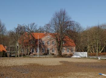 Tocht Te voet Rieseby - Rundwanderweg Stubbe-Büstorf - Photo