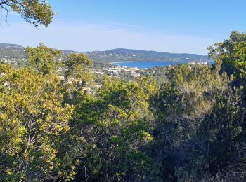 Randonnée Trail Cavalaire-sur-Mer - cavalaire, corniche des maures  - Photo