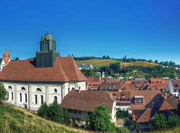 Randonnée A pied Willisau - Wilisau Schlossfeld - Mörisegg - Photo