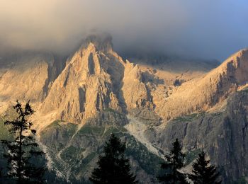 Tocht Te voet Primiero San Martino di Castrozza - Sentiero di Val Zanchetta - Photo