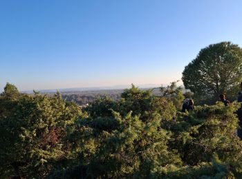 Percorso Marcia Caumont-sur-Durance - Rando repas - Caumont - Chateauneuf de Gadagne - le 06 02 2025 - Photo