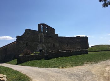 Randonnée Marche Arboussols - Arboussols - Marcevol  - Photo