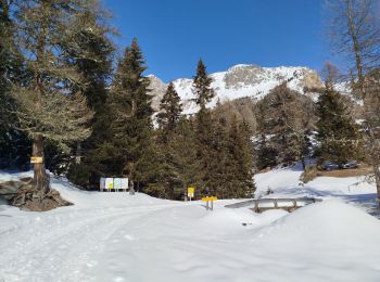 Trail Snowshoes Saint-André - Maurienne - saint André - vallon de Polsey - Photo