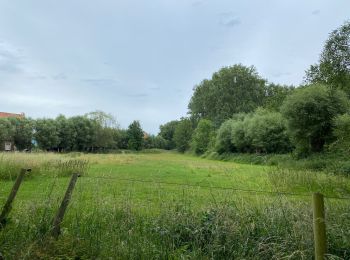Tocht Stappen Grimbergen - Grimbergen 8 km - Photo