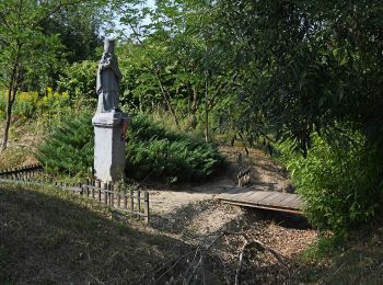 Randonnée A pied Kisszékely - Kökény körút - Photo