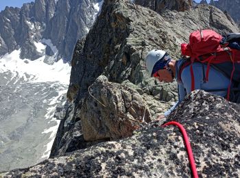 Excursión Escalada Saint-Christophe-en-Oisans - Cornes de Pié Bérarde  - Photo