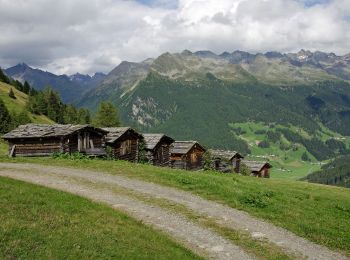 Tocht Te voet Sand in Taufers - Campo Tures - Reiner Höhenweg - Photo