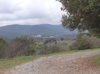 Randonnée Marche Bédarieux - Moulins de faugeres  - Photo