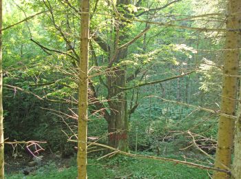 Tocht Te voet Kainach bei Voitsberg - Wanderweg 61 - Photo