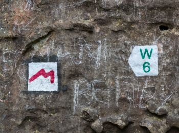 Tour Zu Fuß Consdorf - W7 Hiking Tour - Photo