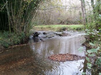 Randonnée Marche Les Pins - La randonnée des moulins  - Photo